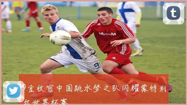 9金收官中国跳水梦之队闪耀蒙特利尔世界杯赛