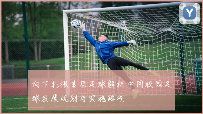 向下扎根基层足球解析中国校园足球发展规划与实施路径