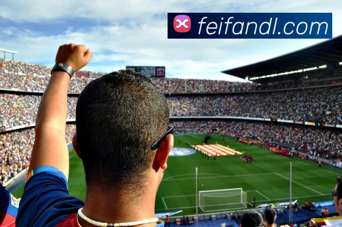 App Interface Preview