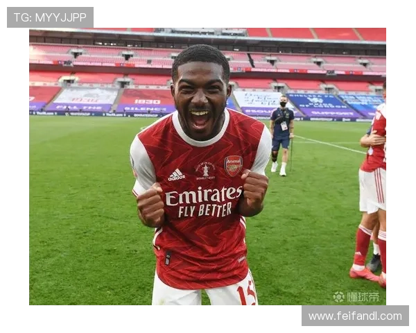 德甲球队财政预算报告及未来投入预估